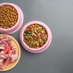 mancare-caini-sterilizati