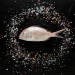 pestisori-de-acvariu