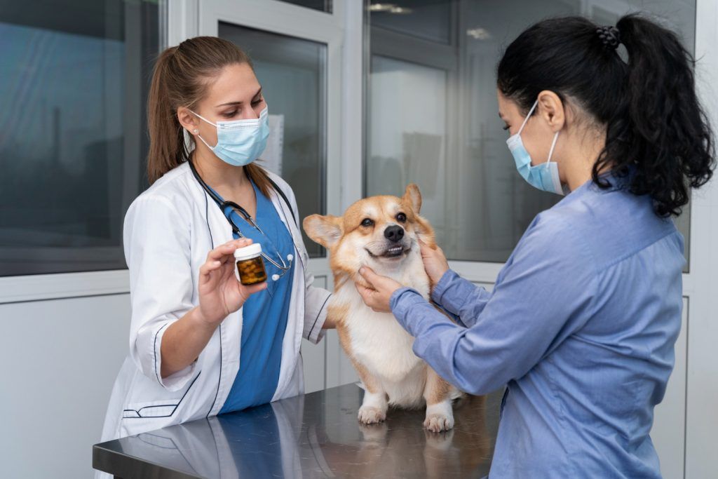 farmacie-veterinara-sector-4-1